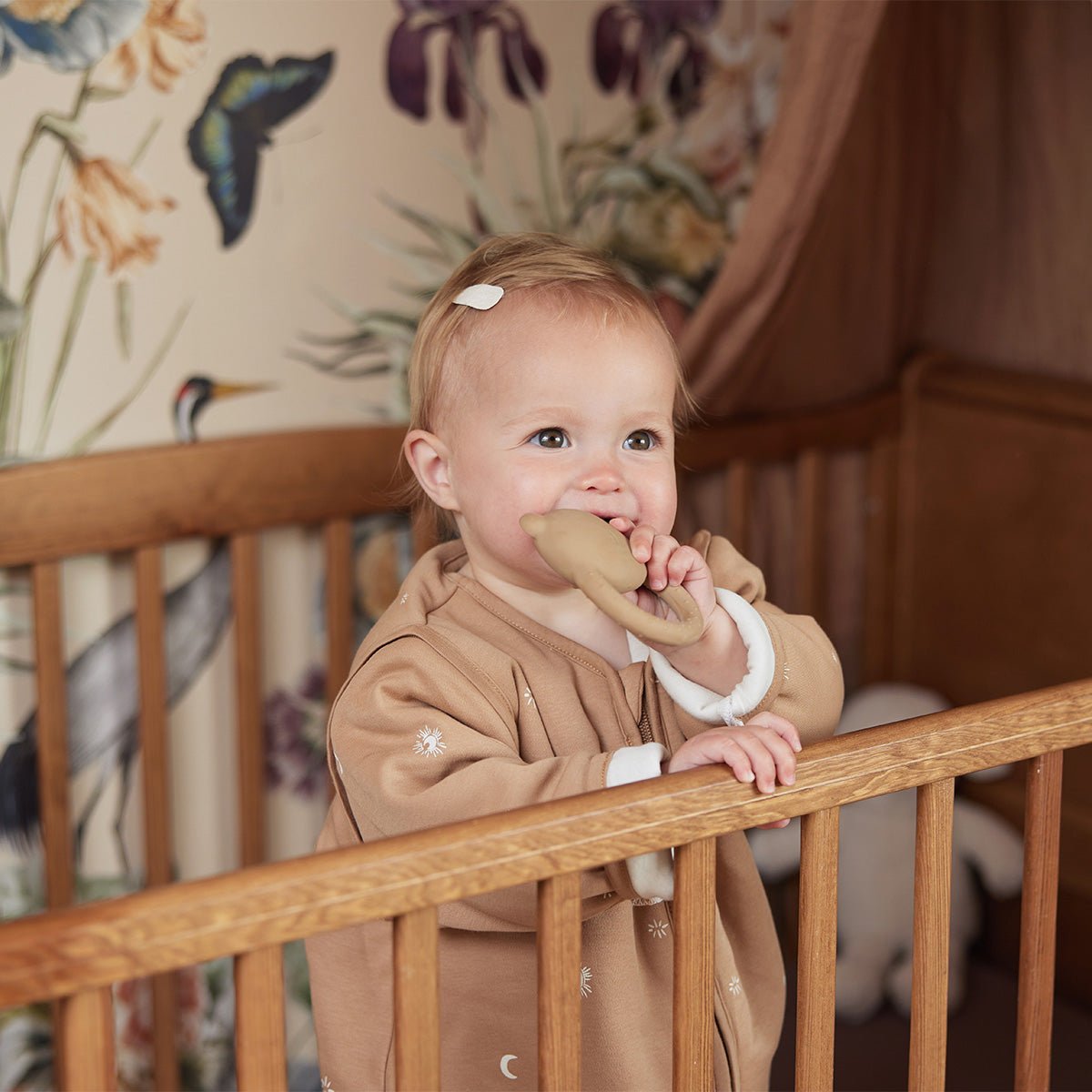 Anneau de Dentition Teddy Bear -Biscuit - Lina et Compagnie