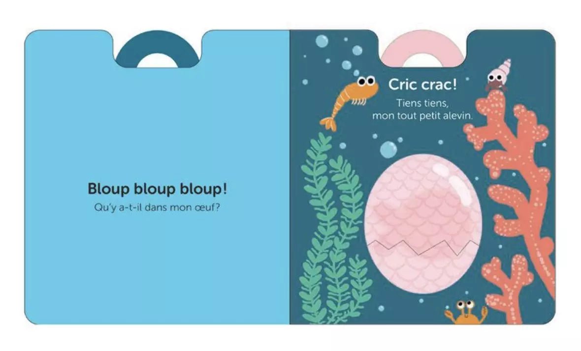Livre d'Éveil Cric Crac qui est là ? - Lina et Compagnie