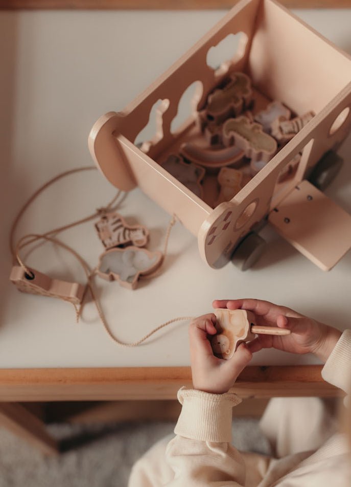 Arche de Noé - Lina et Compagnie