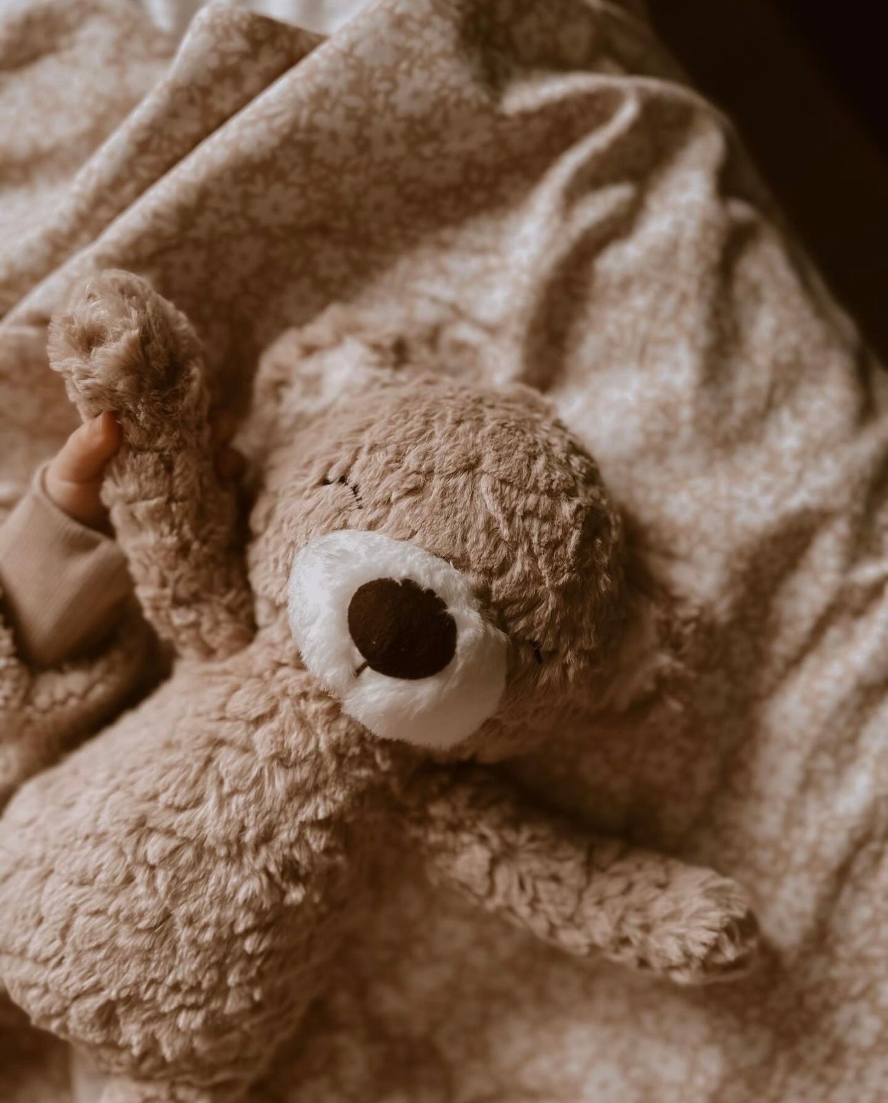 Peluche Mr. Pyxie - Teddy - Lina et Compagnie