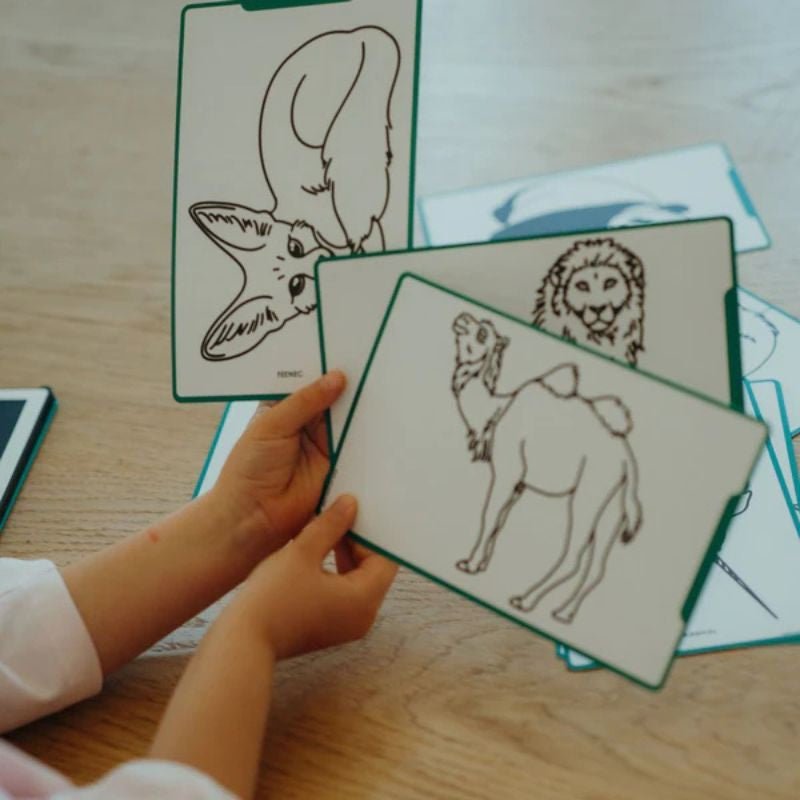 Tablette à dessin - Animaux du monde - Lina et Compagnie