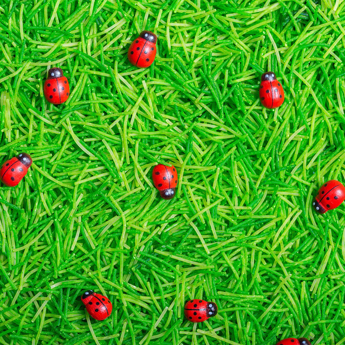 Bouteille Sensorielle Sonore - Coccinelle - Lina et Compagnie