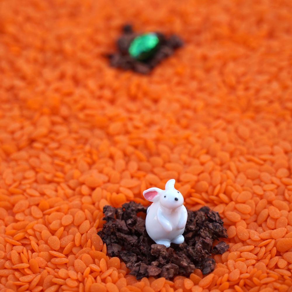 Bouteille Sensorielle Sonore - Lapin - Lina et Compagnie