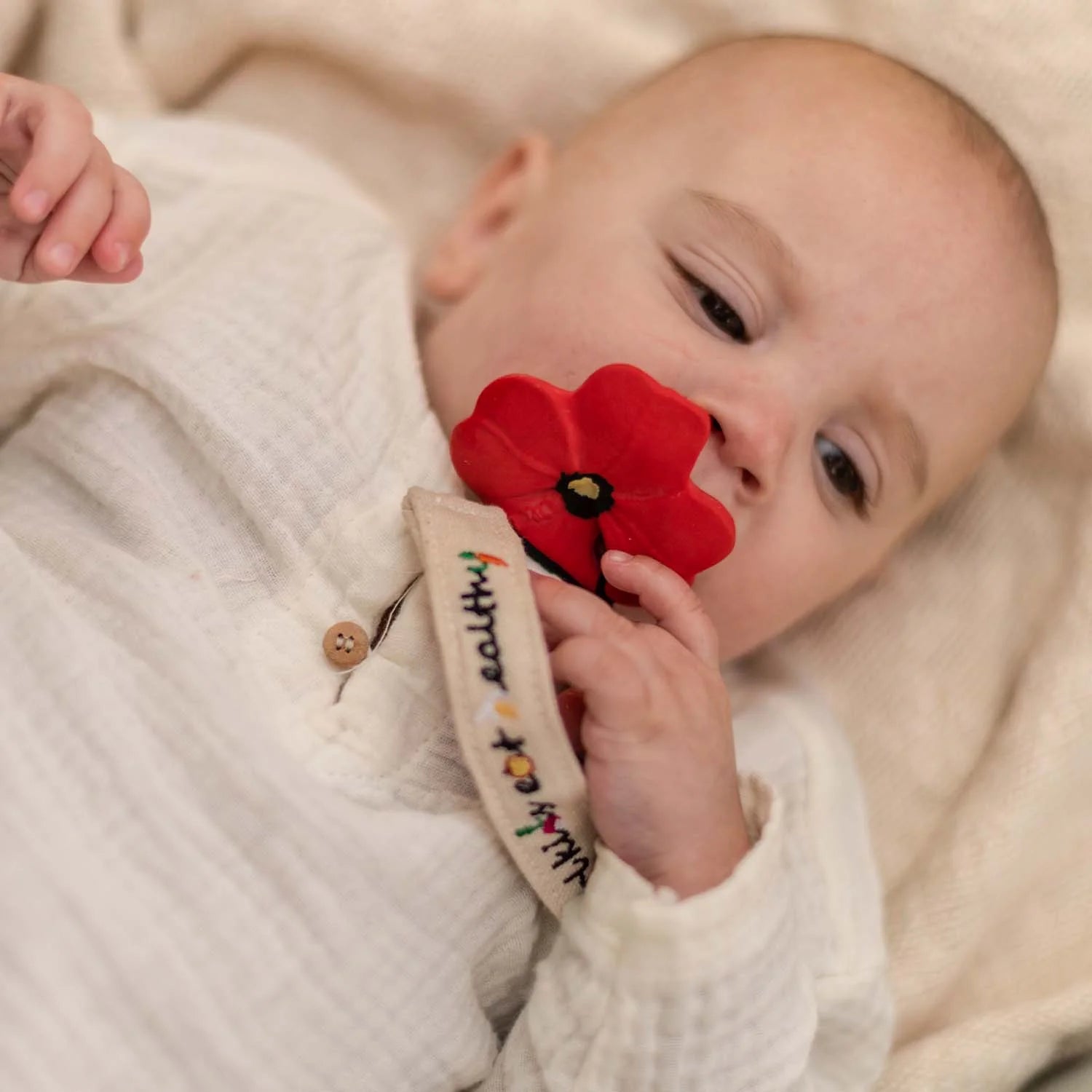 Jouet de Dentition Pop le Coquelicot - Lina et Compagnie